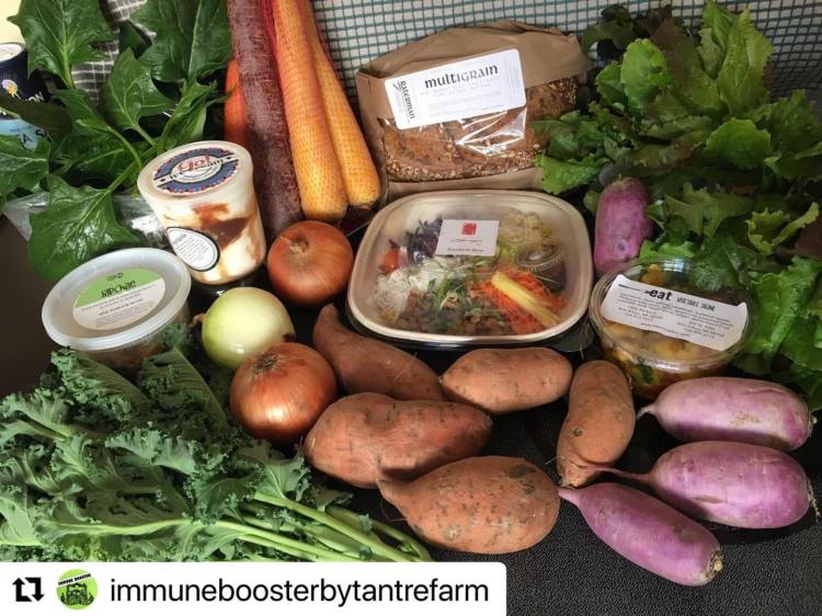 Tantre Farm offers their Immune Booster CSA year round in collaboration with local businesses like The Brinery, Raterman Bread and so many more!